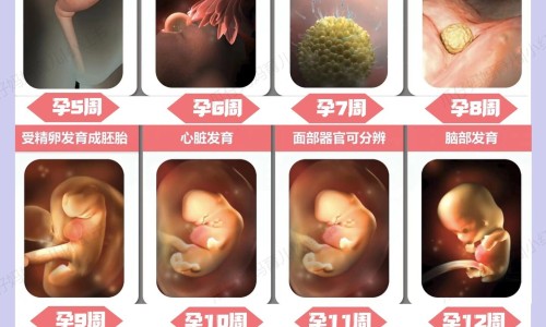 一出汗身上皮肤就出血网 - 为你提供一出汗身上就出很多皮屑怎么回事、为什么一出汗身上的皮肤就痒怎么办